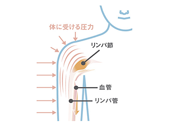 リンパの流れにより血流を促進する