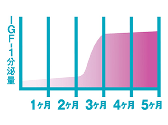 成長ホルモン「IGF-1」の増加